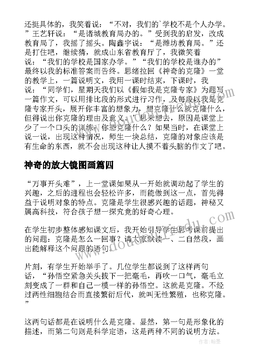 2023年神奇的放大镜图画 神奇的口袋教学反思(精选8篇)