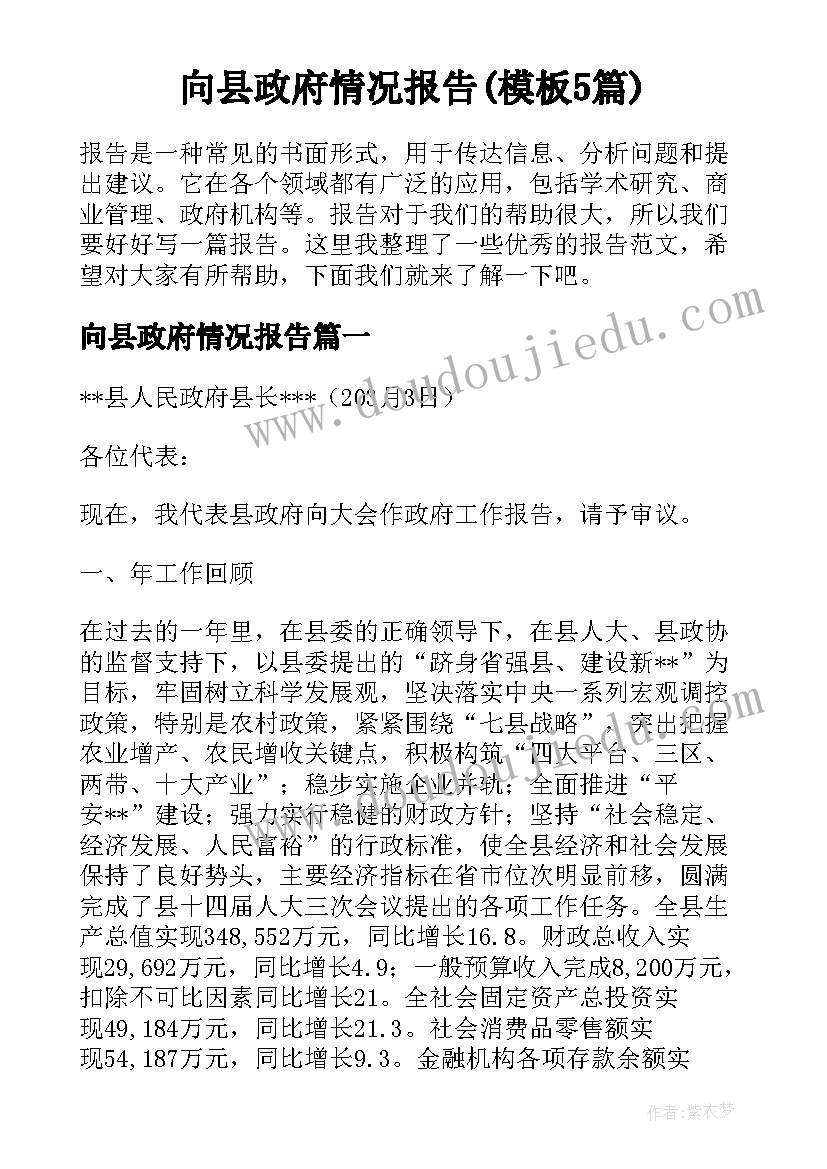 向县政府情况报告(模板5篇)