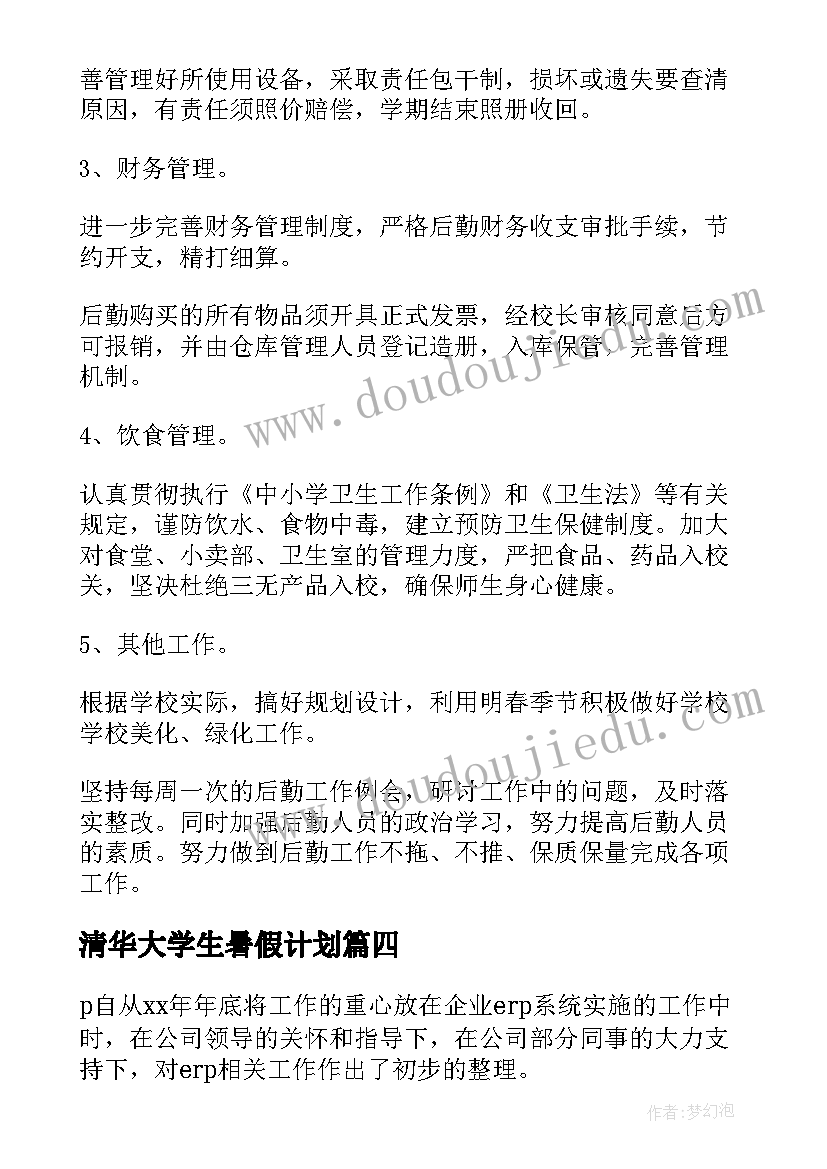 最新清华大学生暑假计划(模板5篇)