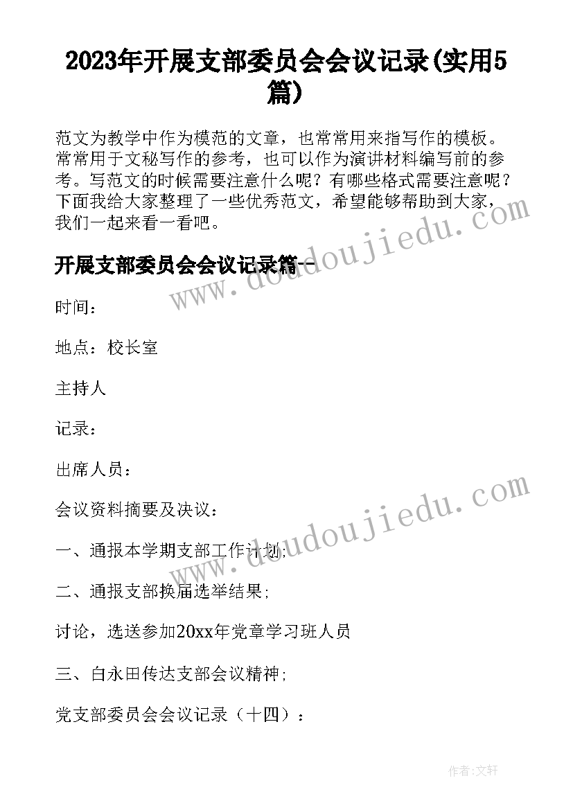 2023年开展支部委员会会议记录(实用5篇)