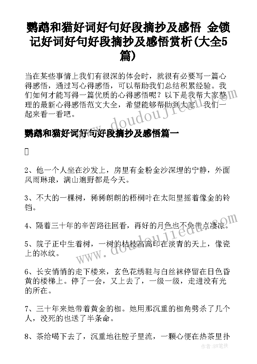 鹦鹉和猫好词好句好段摘抄及感悟 金锁记好词好句好段摘抄及感悟赏析(大全5篇)