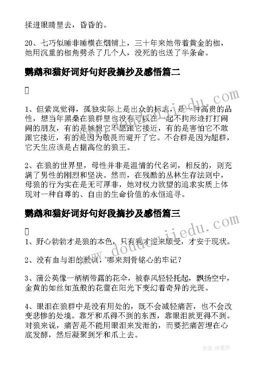 鹦鹉和猫好词好句好段摘抄及感悟 金锁记好词好句好段摘抄及感悟赏析(大全5篇)