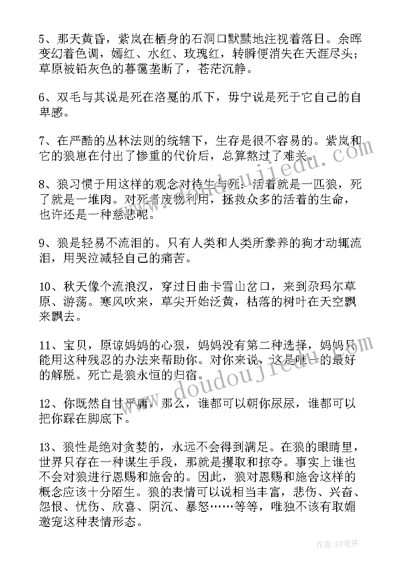 鹦鹉和猫好词好句好段摘抄及感悟 金锁记好词好句好段摘抄及感悟赏析(大全5篇)