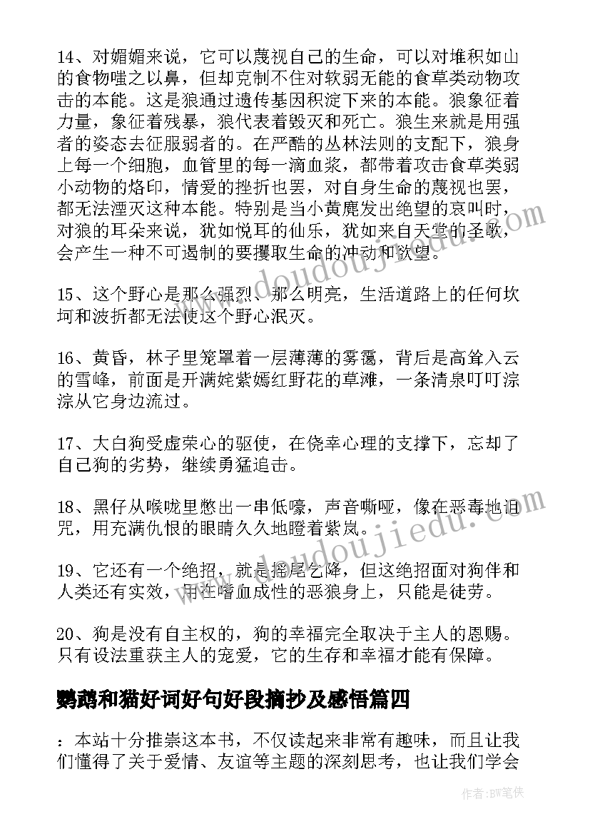 鹦鹉和猫好词好句好段摘抄及感悟 金锁记好词好句好段摘抄及感悟赏析(大全5篇)