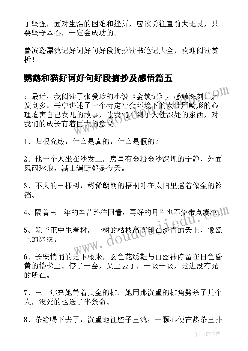 鹦鹉和猫好词好句好段摘抄及感悟 金锁记好词好句好段摘抄及感悟赏析(大全5篇)