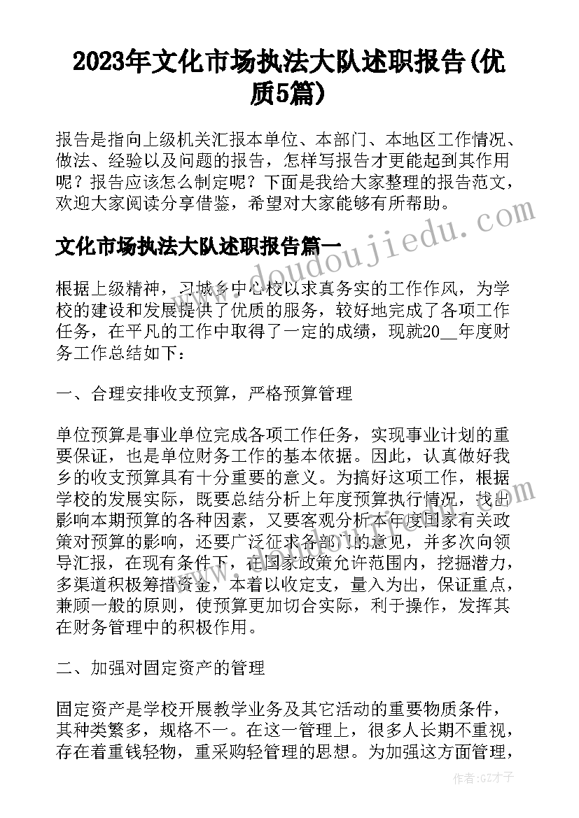 2023年文化市场执法大队述职报告(优质5篇)