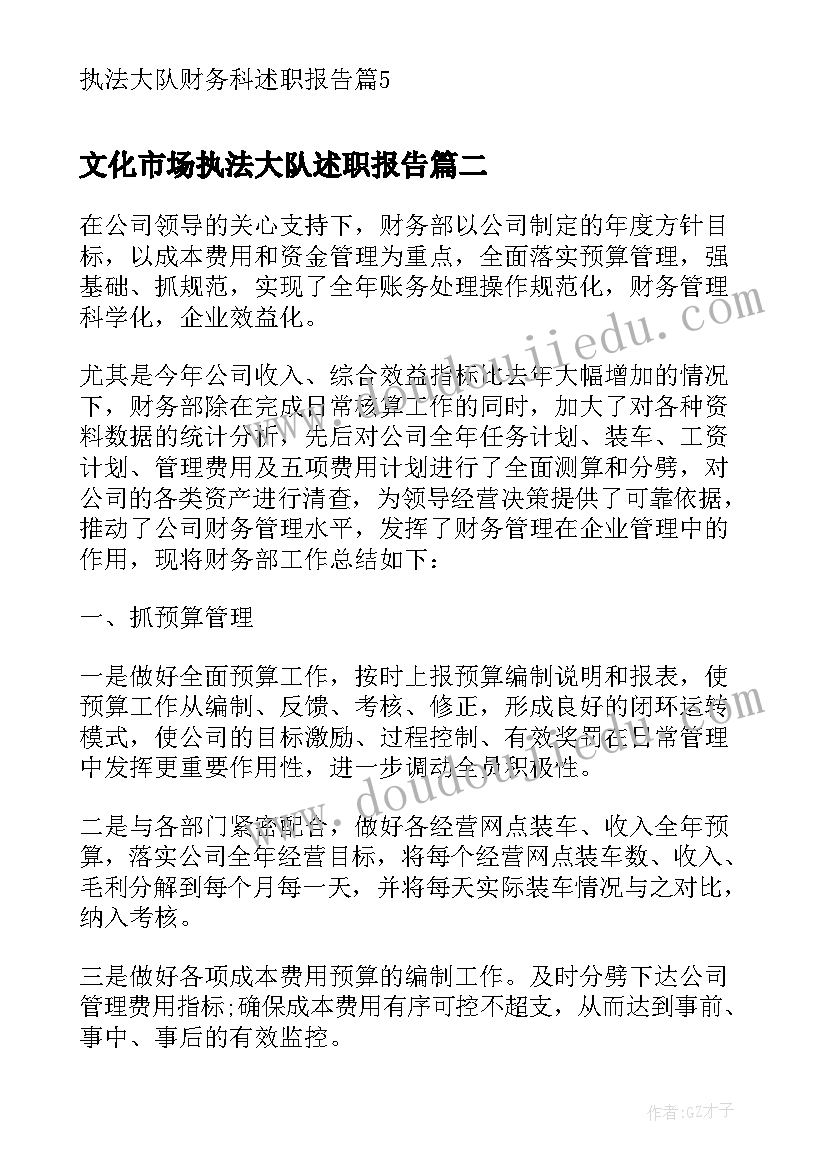 2023年文化市场执法大队述职报告(优质5篇)