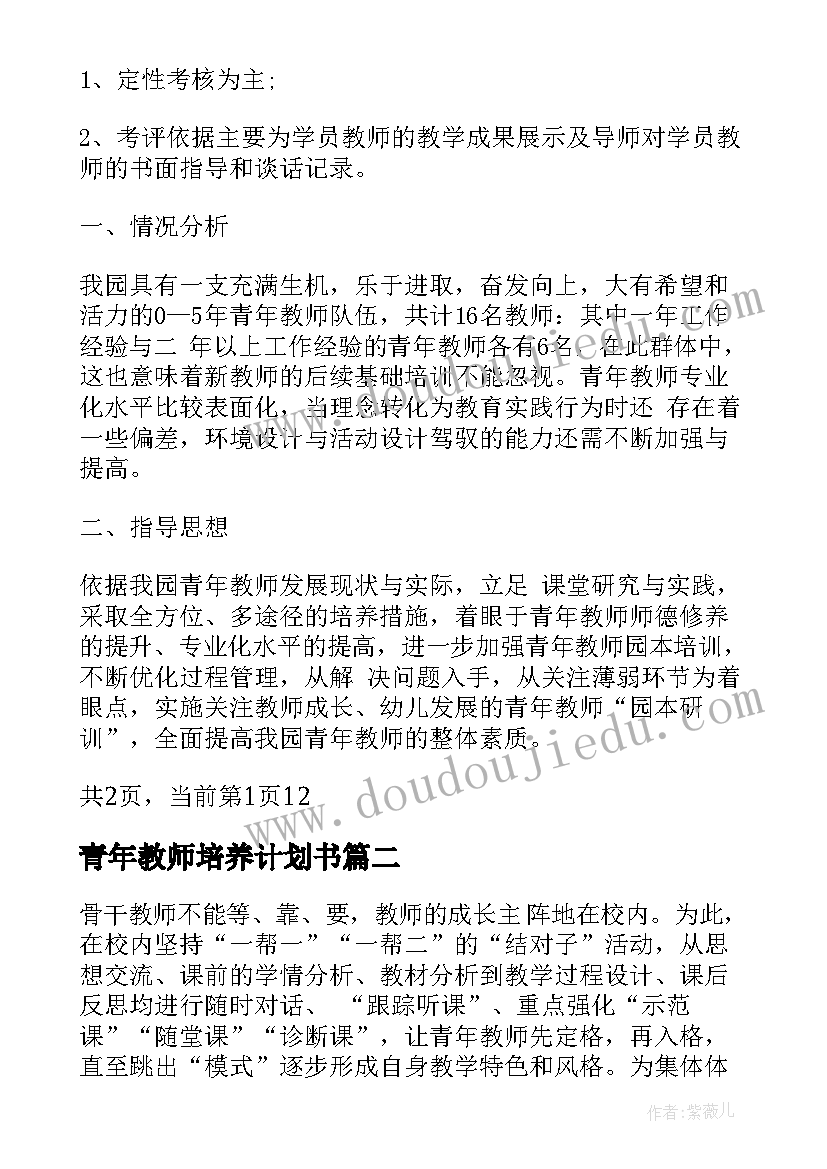 青年教师培养计划书(大全7篇)