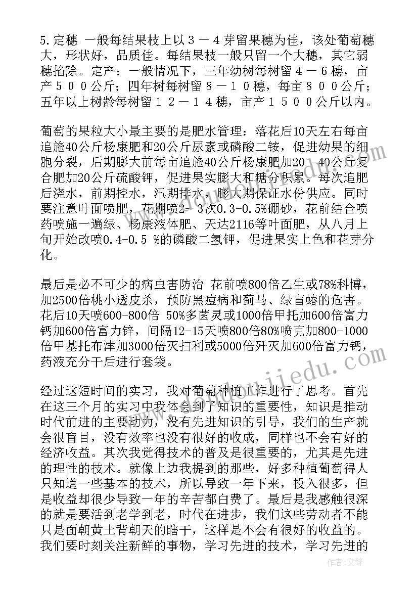 农业实践报告 农业社会实践实习报告(优质10篇)