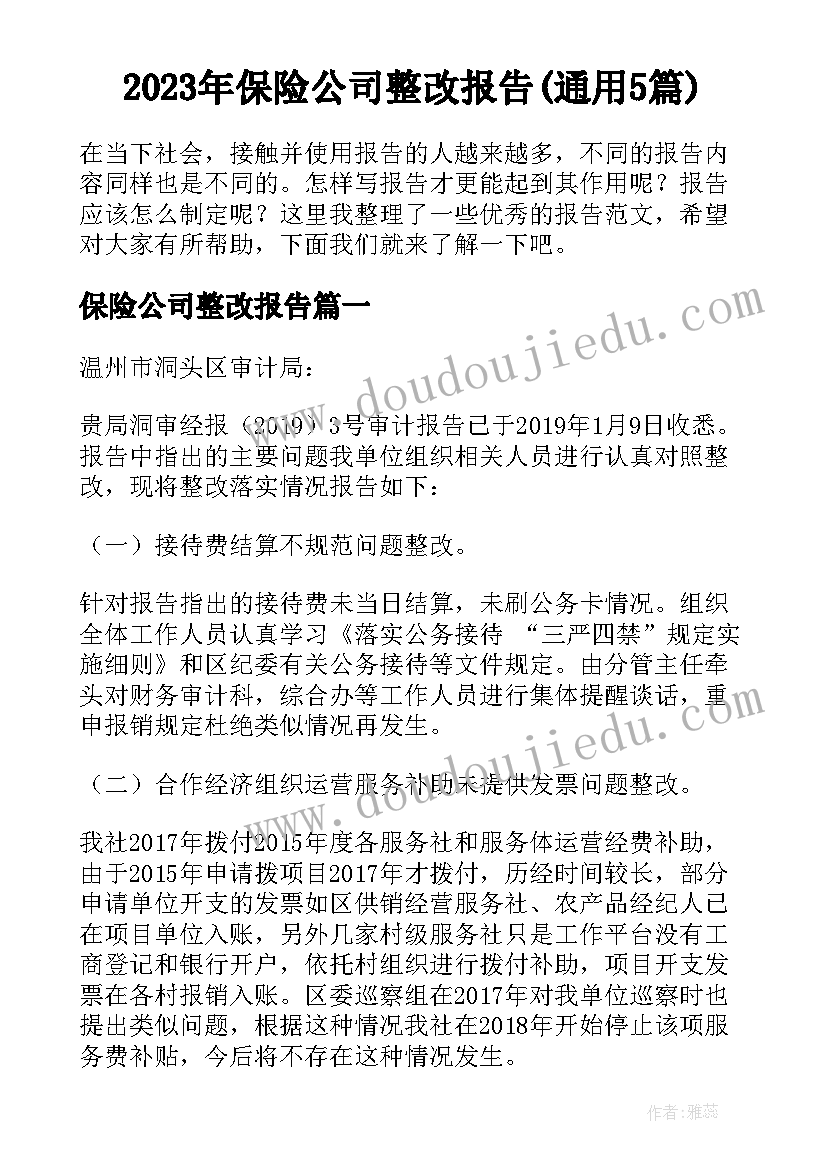 2023年保险公司整改报告(通用5篇)