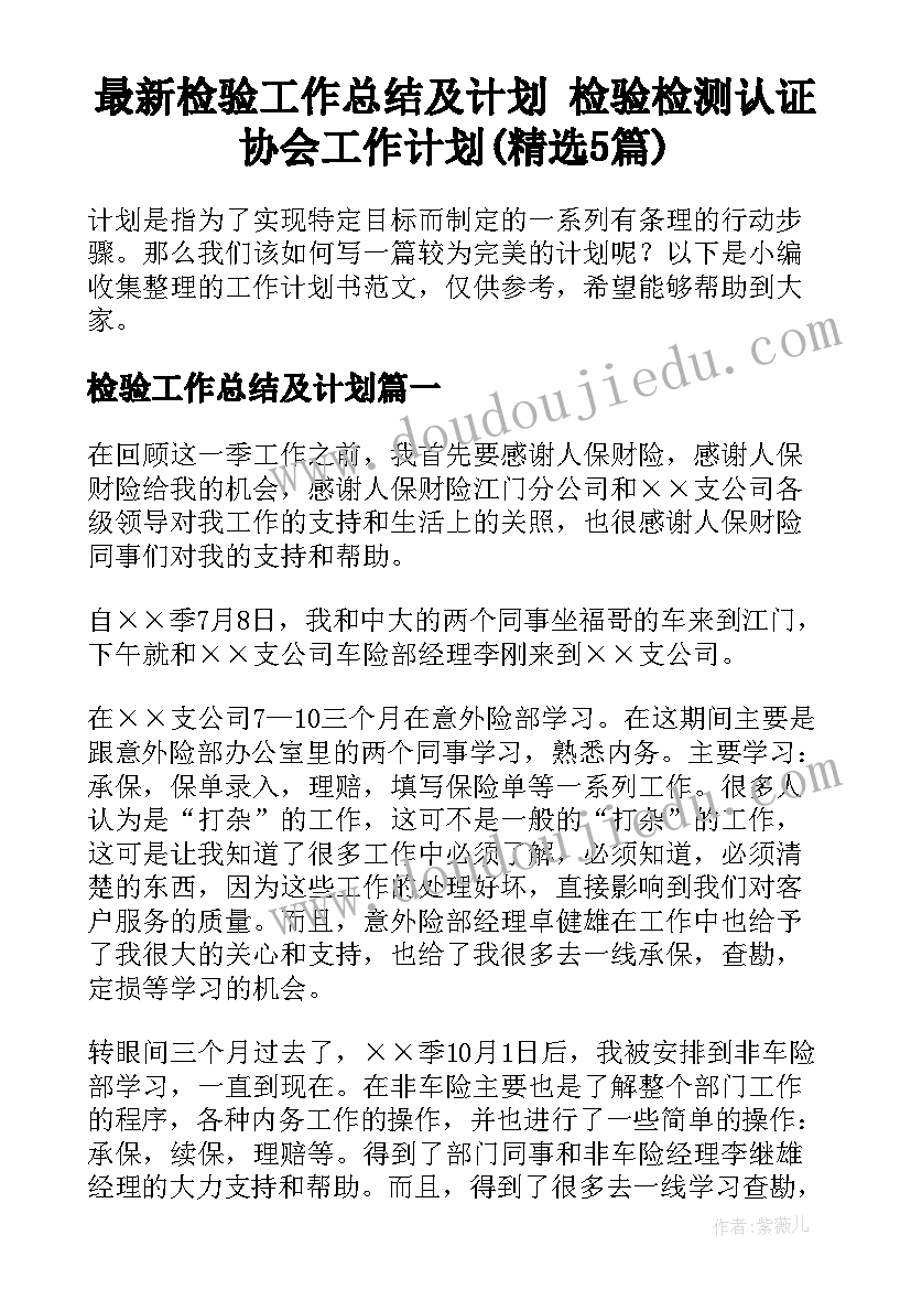 最新检验工作总结及计划 检验检测认证协会工作计划(精选5篇)