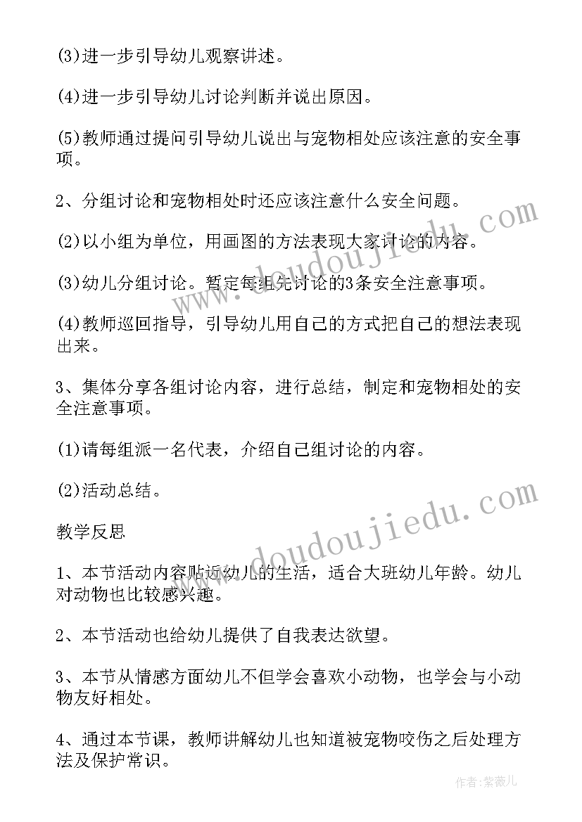 最新大班和宠物相处安全活动教案及反思(通用5篇)