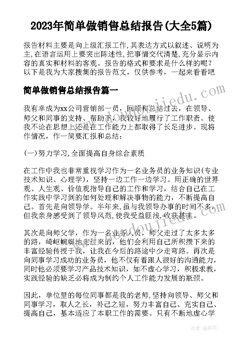 2023年简单做销售总结报告(大全5篇)