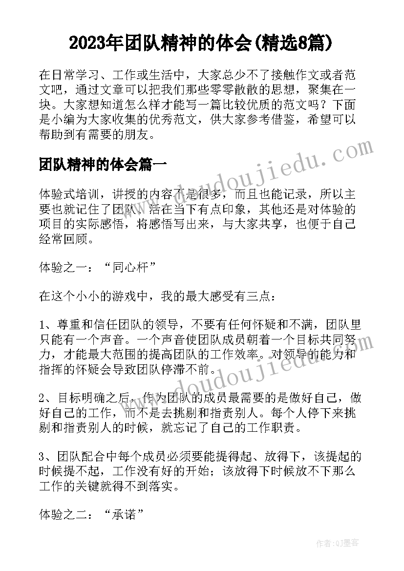 2023年团队精神的体会(精选8篇)