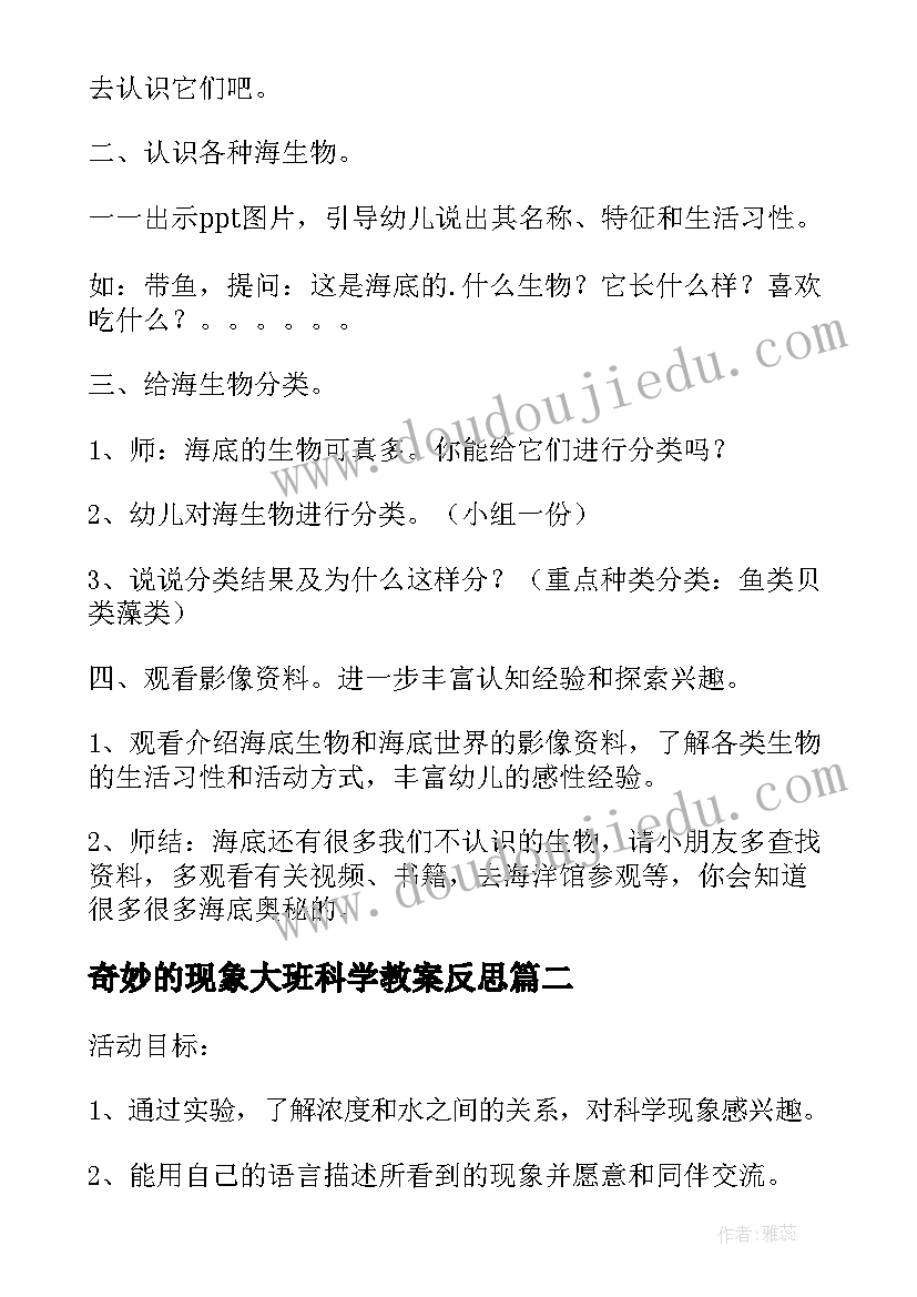 2023年奇妙的现象大班科学教案反思(优秀7篇)