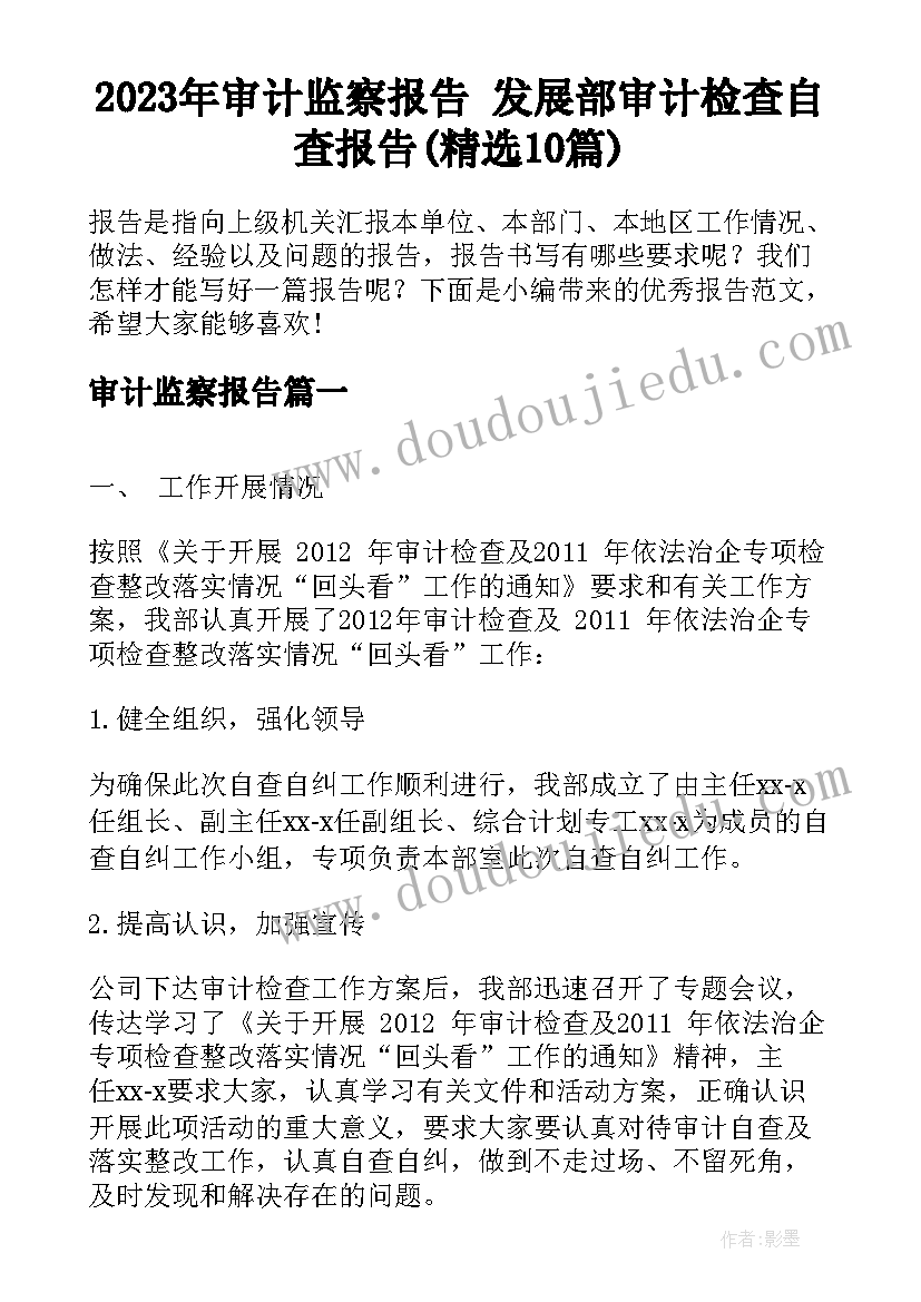 2023年审计监察报告 发展部审计检查自查报告(精选10篇)