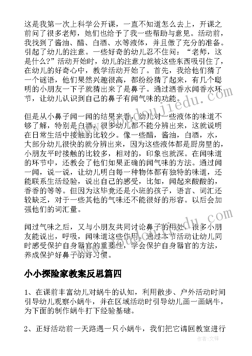 小小探险家教案反思(通用8篇)