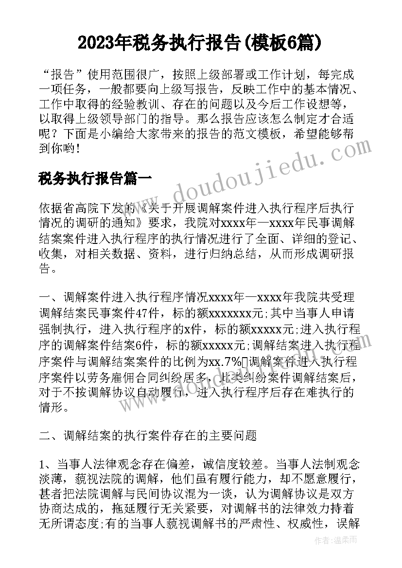 2023年税务执行报告(模板6篇)