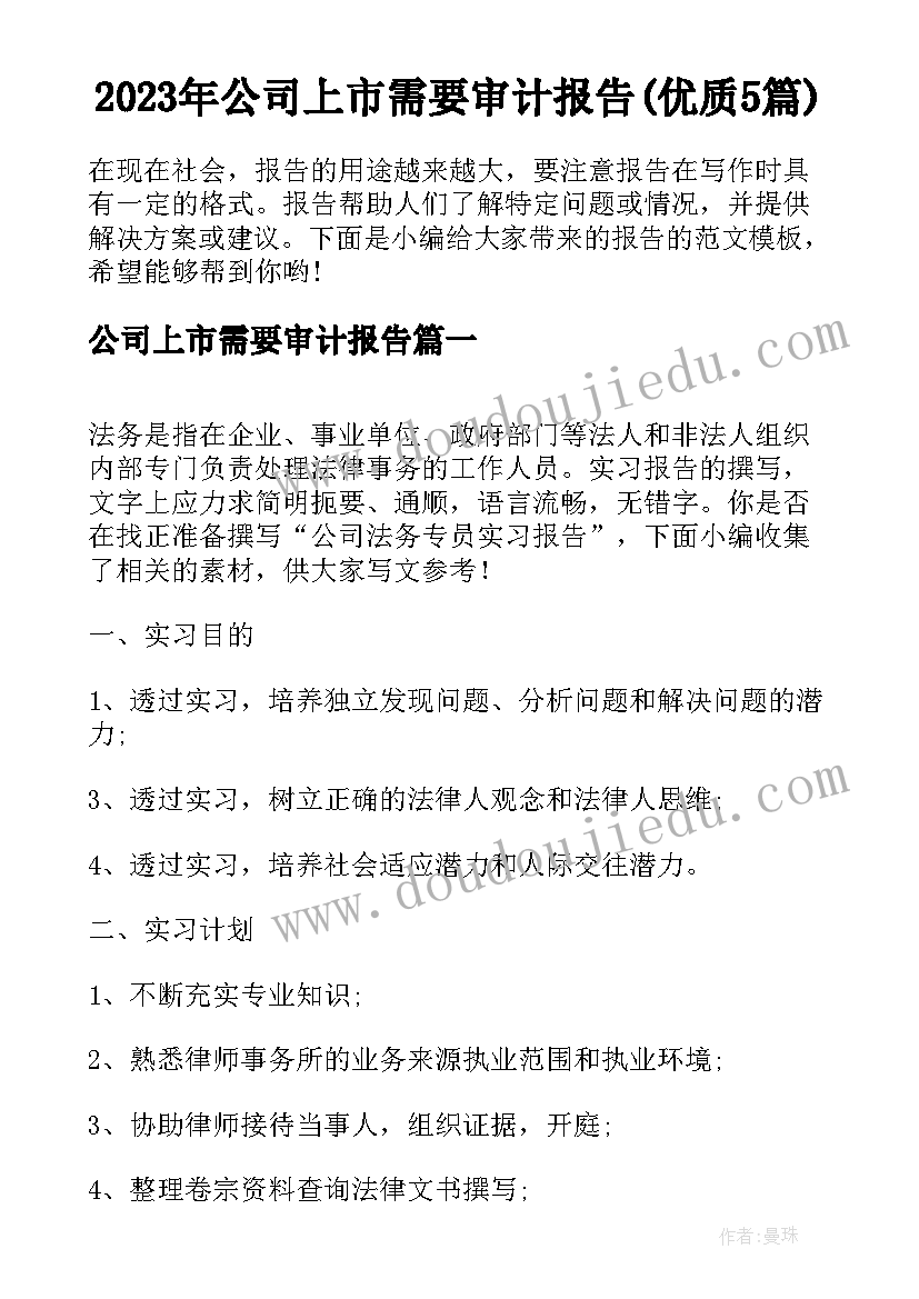 2023年公司上市需要审计报告(优质5篇)