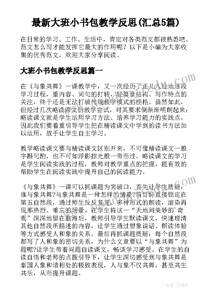 最新大班小书包教学反思(汇总5篇)