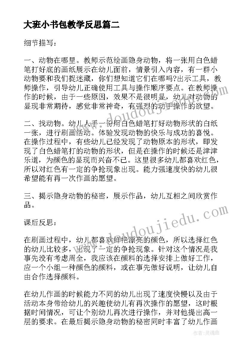 最新大班小书包教学反思(汇总5篇)