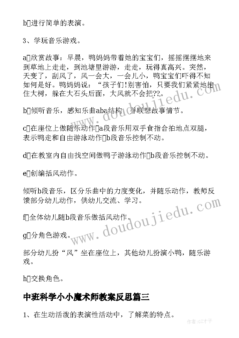 2023年中班科学小小魔术师教案反思 中班音乐活动方案(精选10篇)