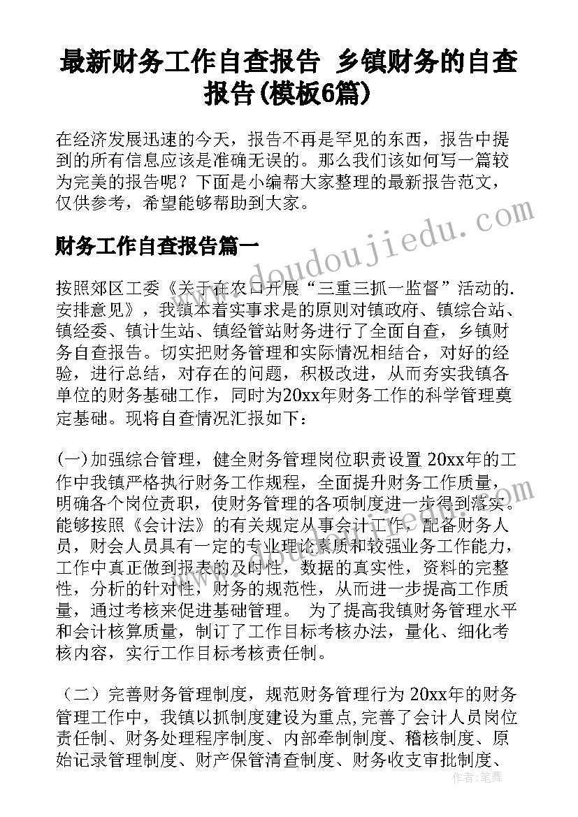 最新财务工作自查报告 乡镇财务的自查报告(模板6篇)