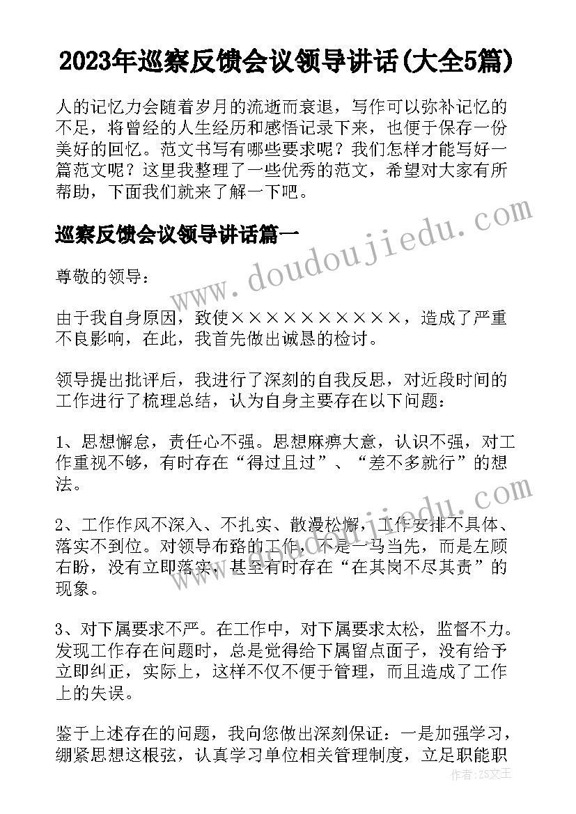 2023年巡察反馈会议领导讲话(大全5篇)