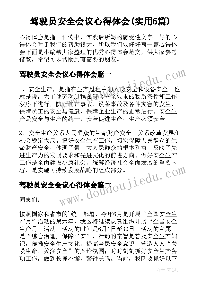 驾驶员安全会议心得体会(实用5篇)