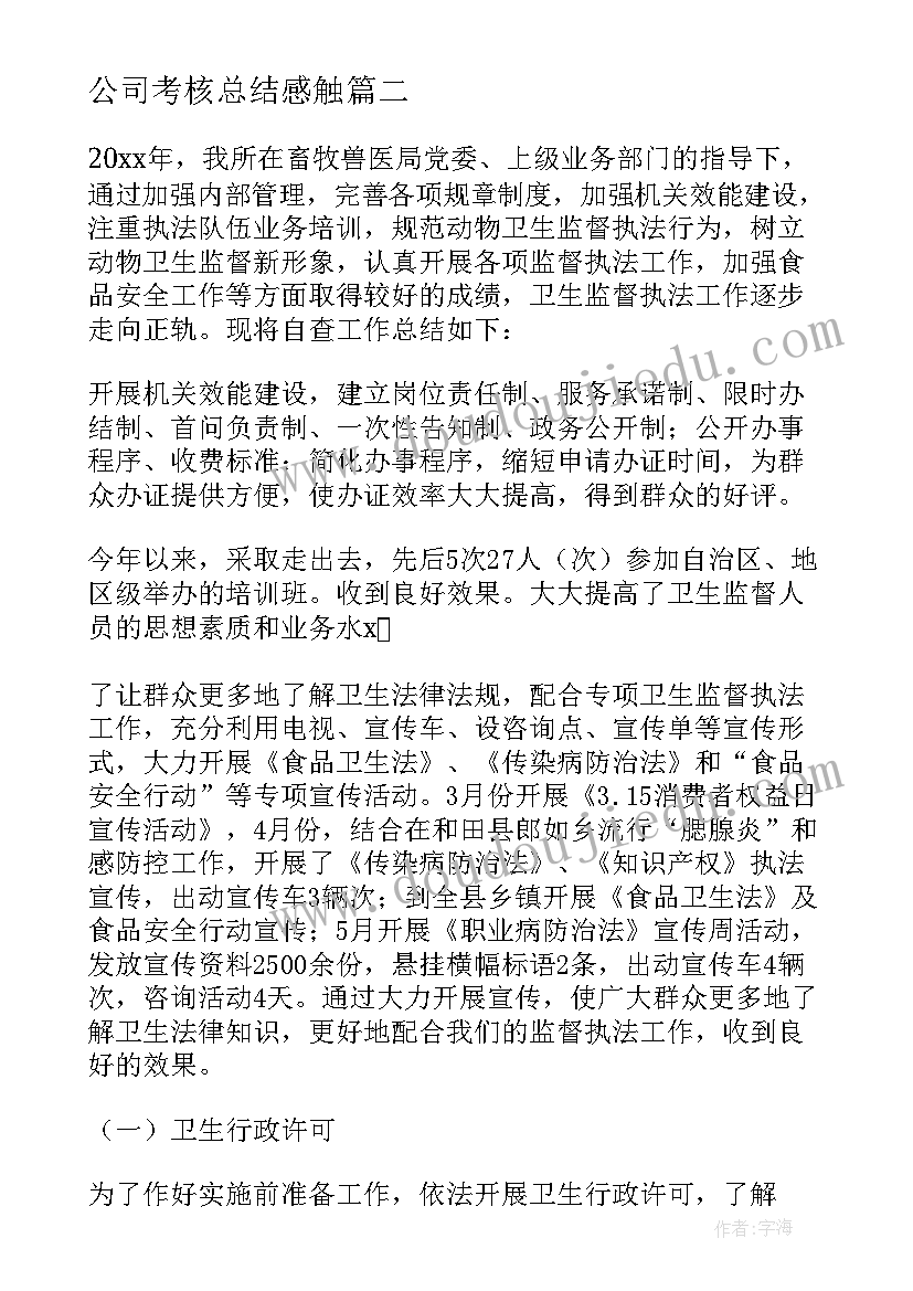 最新公司考核总结感触(汇总7篇)