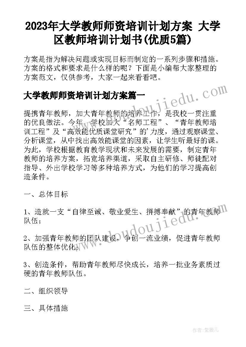 2023年大学教师师资培训计划方案 大学区教师培训计划书(优质5篇)