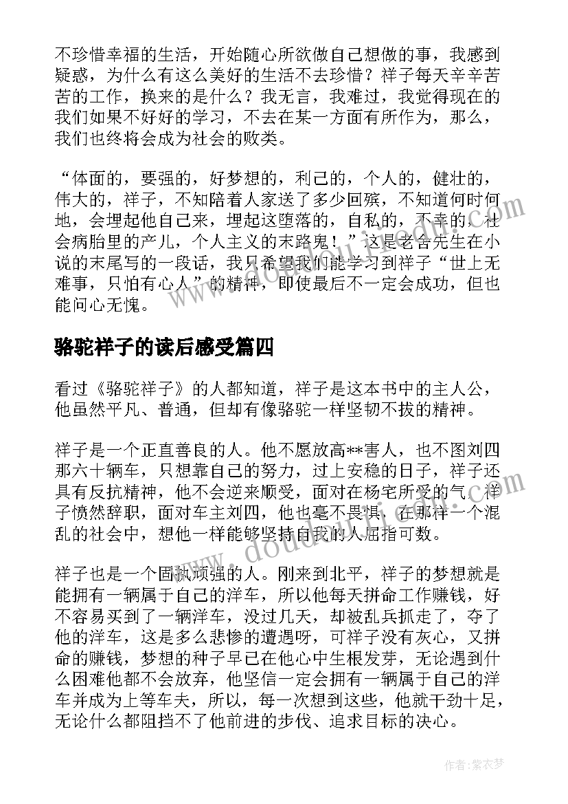 2023年骆驼祥子的读后感受(大全8篇)