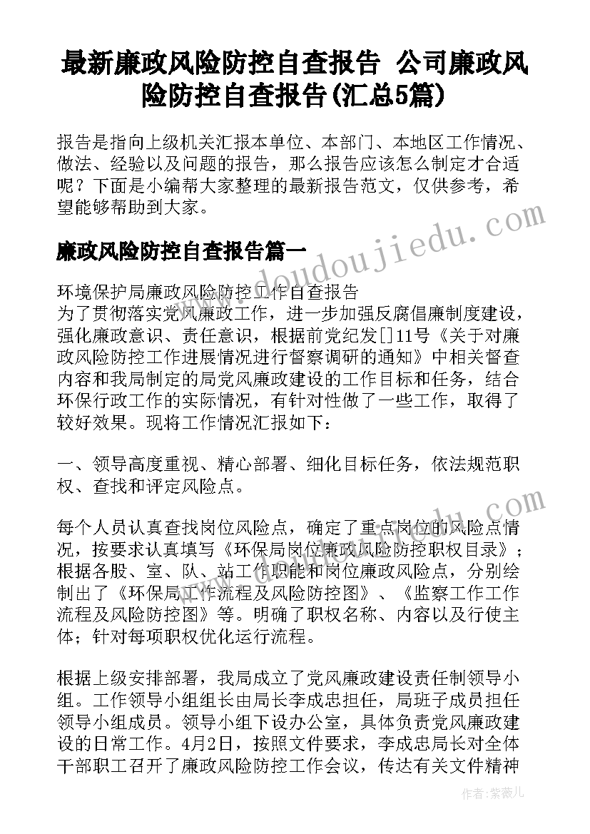 最新廉政风险防控自查报告 公司廉政风险防控自查报告(汇总5篇)