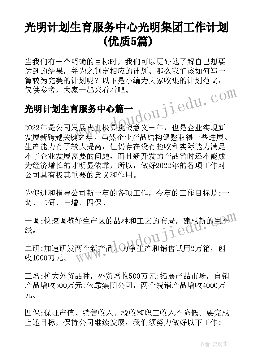 光明计划生育服务中心 光明集团工作计划(优质5篇)