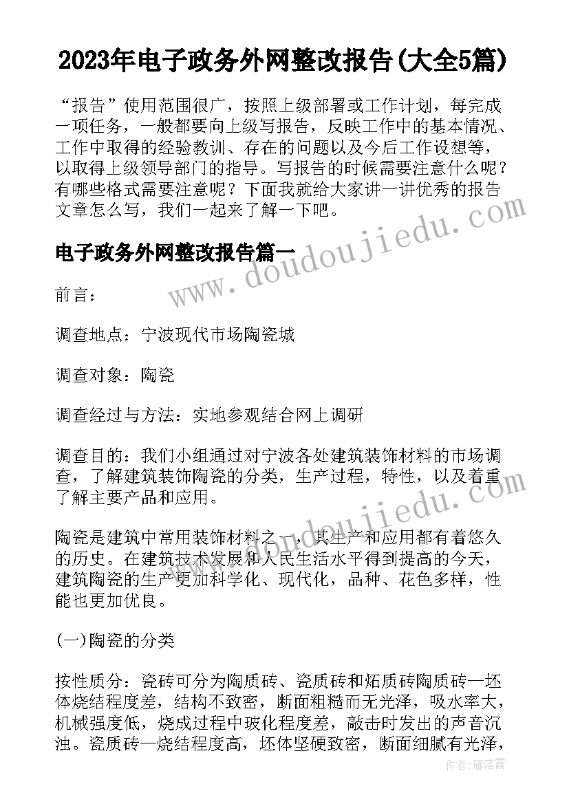 2023年电子政务外网整改报告(大全5篇)