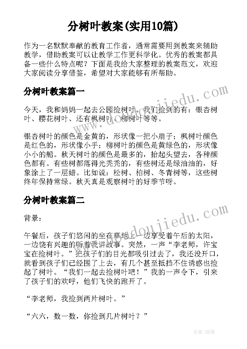 分树叶教案(实用10篇)