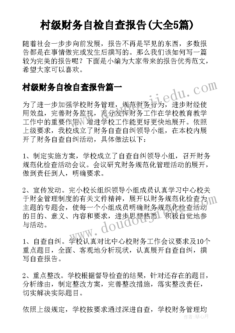 村级财务自检自查报告(大全5篇)