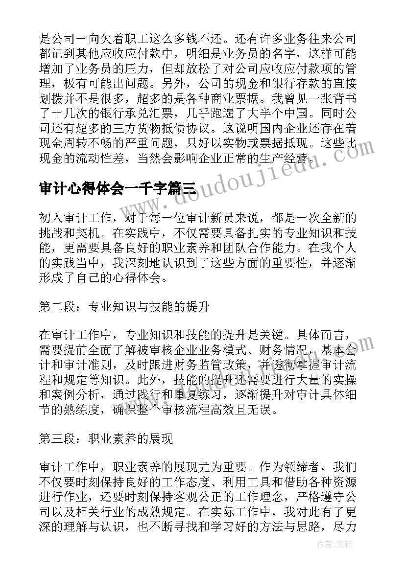 2023年审计心得体会一千字(模板6篇)