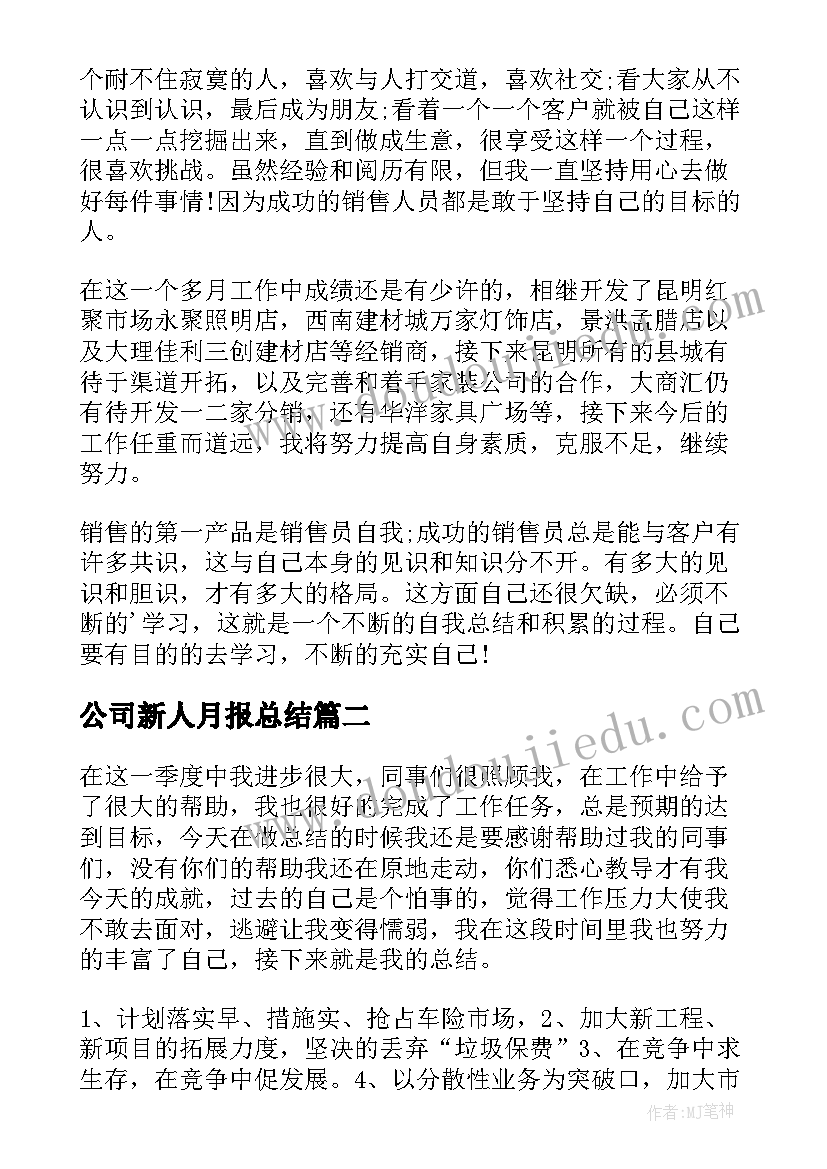 公司新人月报总结(模板5篇)