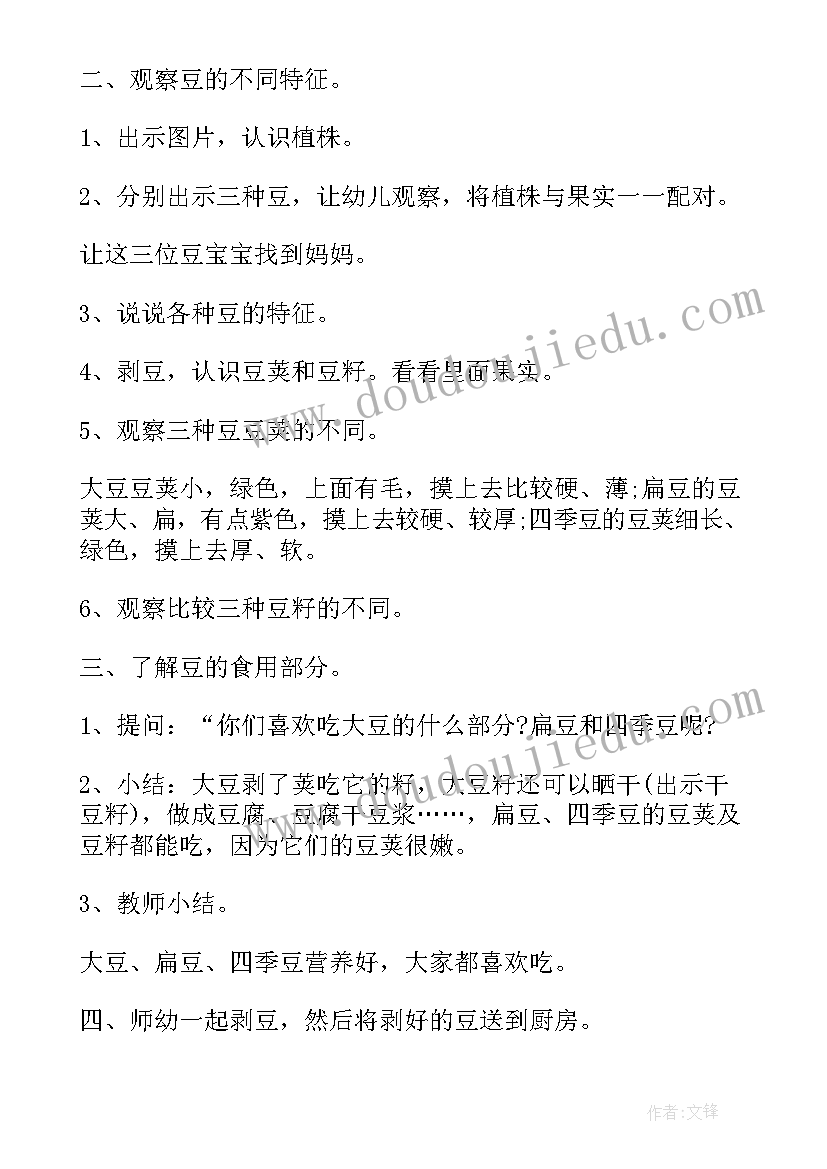 2023年幼儿园教学活动方案我是中国人(大全6篇)