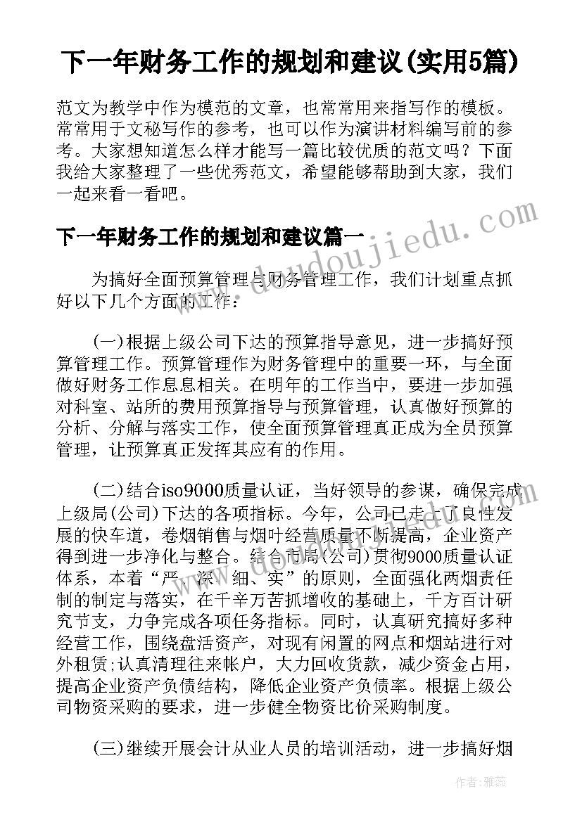 下一年财务工作的规划和建议(实用5篇)