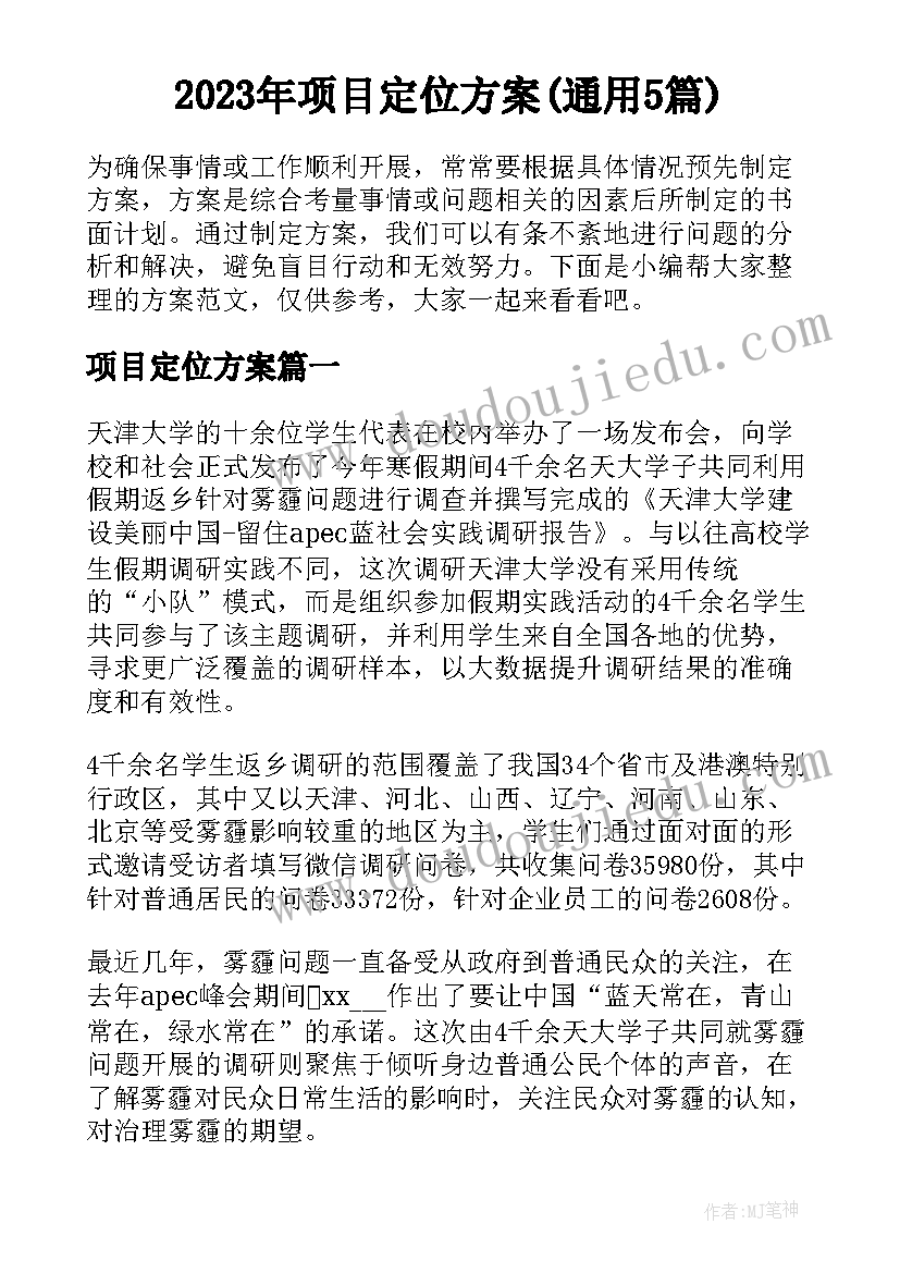 2023年项目定位方案(通用5篇)