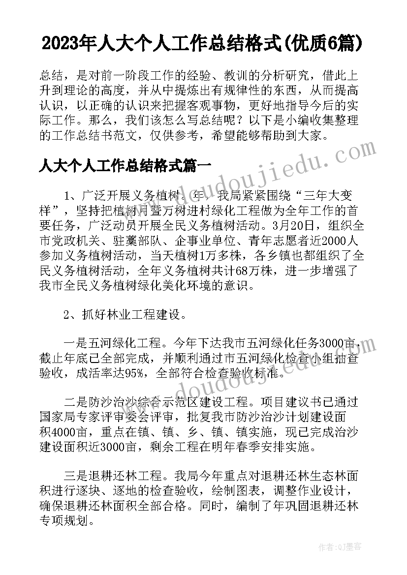 2023年人大个人工作总结格式(优质6篇)