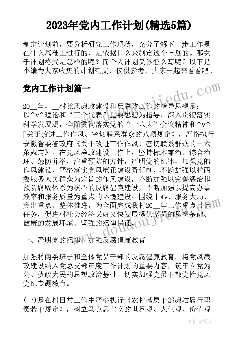 2023年党内工作计划(精选5篇)