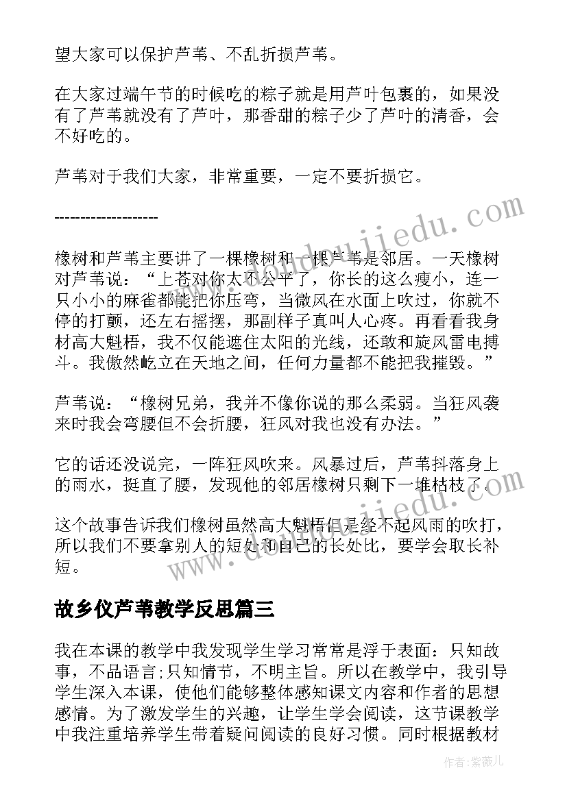 故乡仪芦苇教学反思 故乡的芦苇教学反思(汇总9篇)