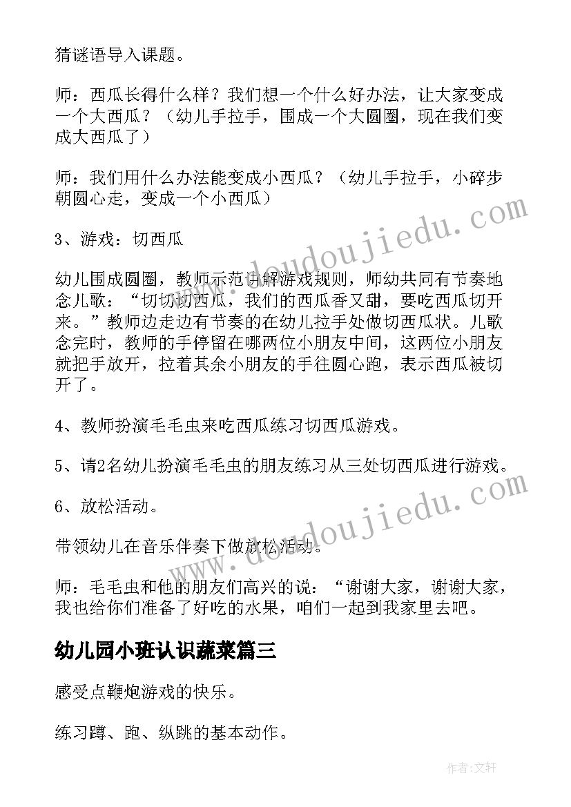 幼儿园小班认识蔬菜 幼儿园小班体育活动方案(大全5篇)