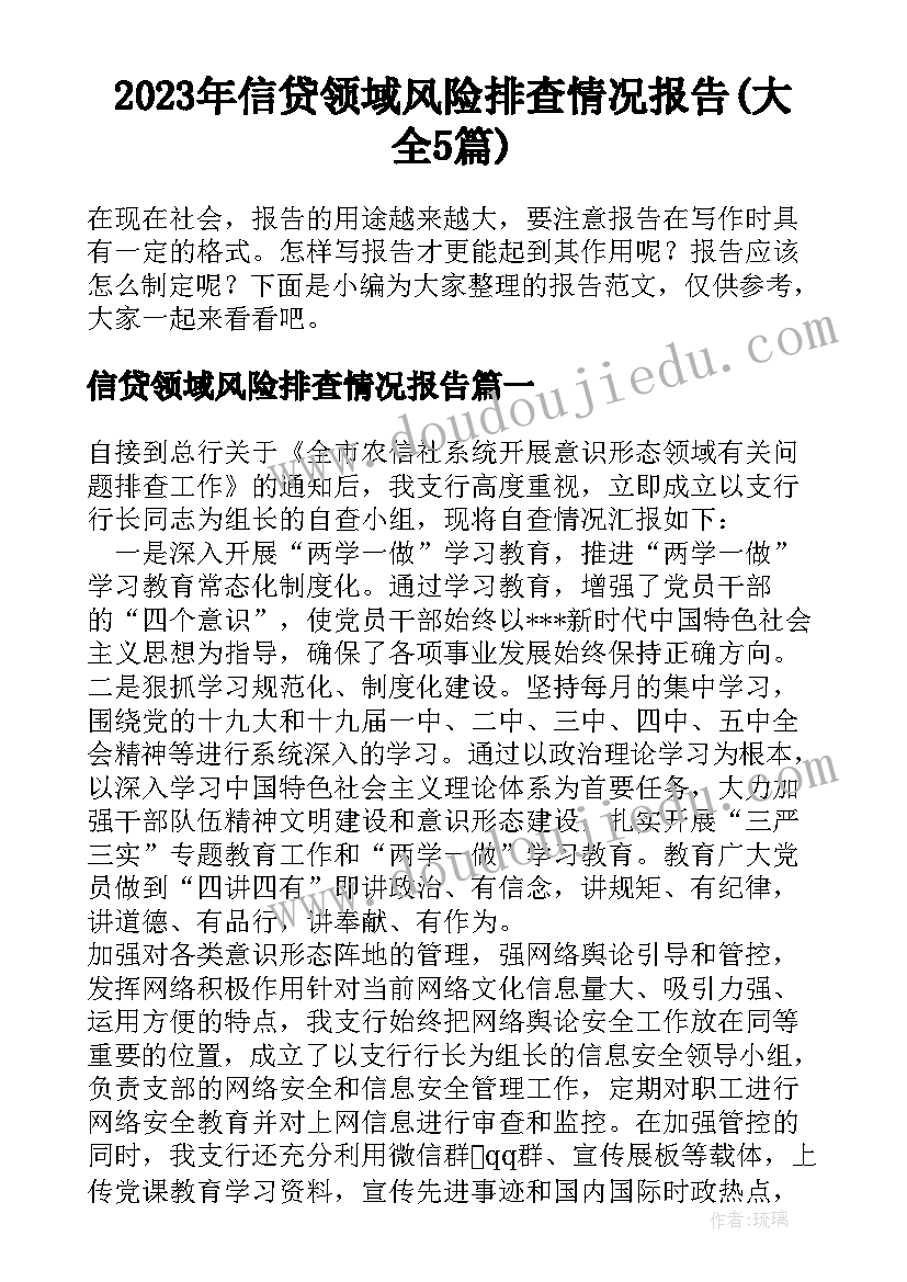 2023年信贷领域风险排查情况报告(大全5篇)