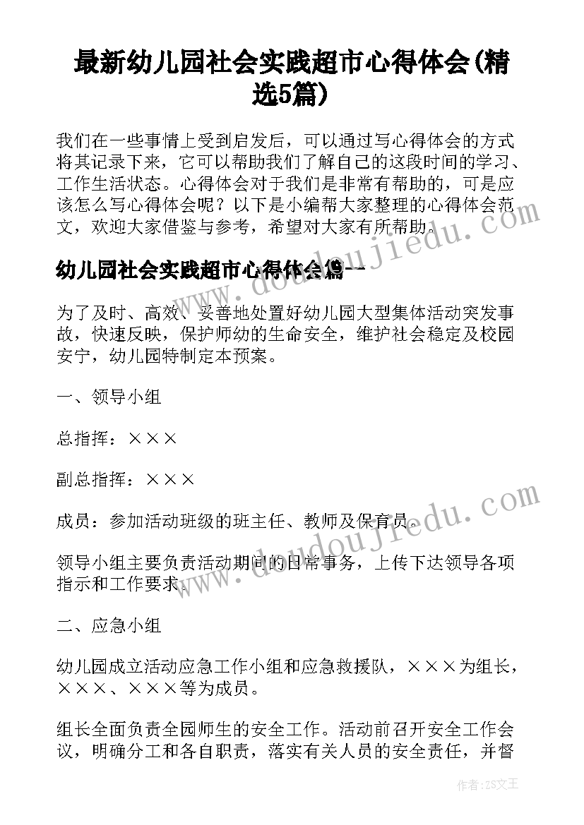 最新幼儿园社会实践超市心得体会(精选5篇)