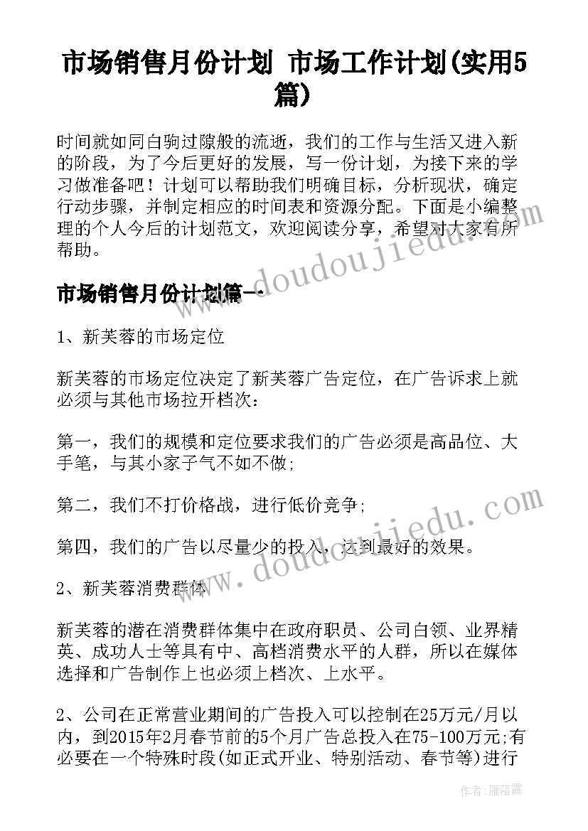 市场销售月份计划 市场工作计划(实用5篇)