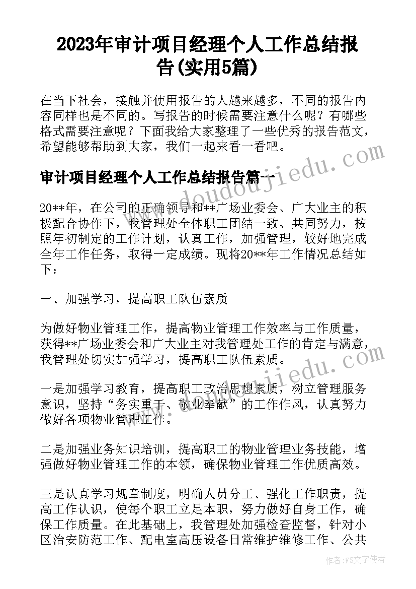 2023年审计项目经理个人工作总结报告(实用5篇)